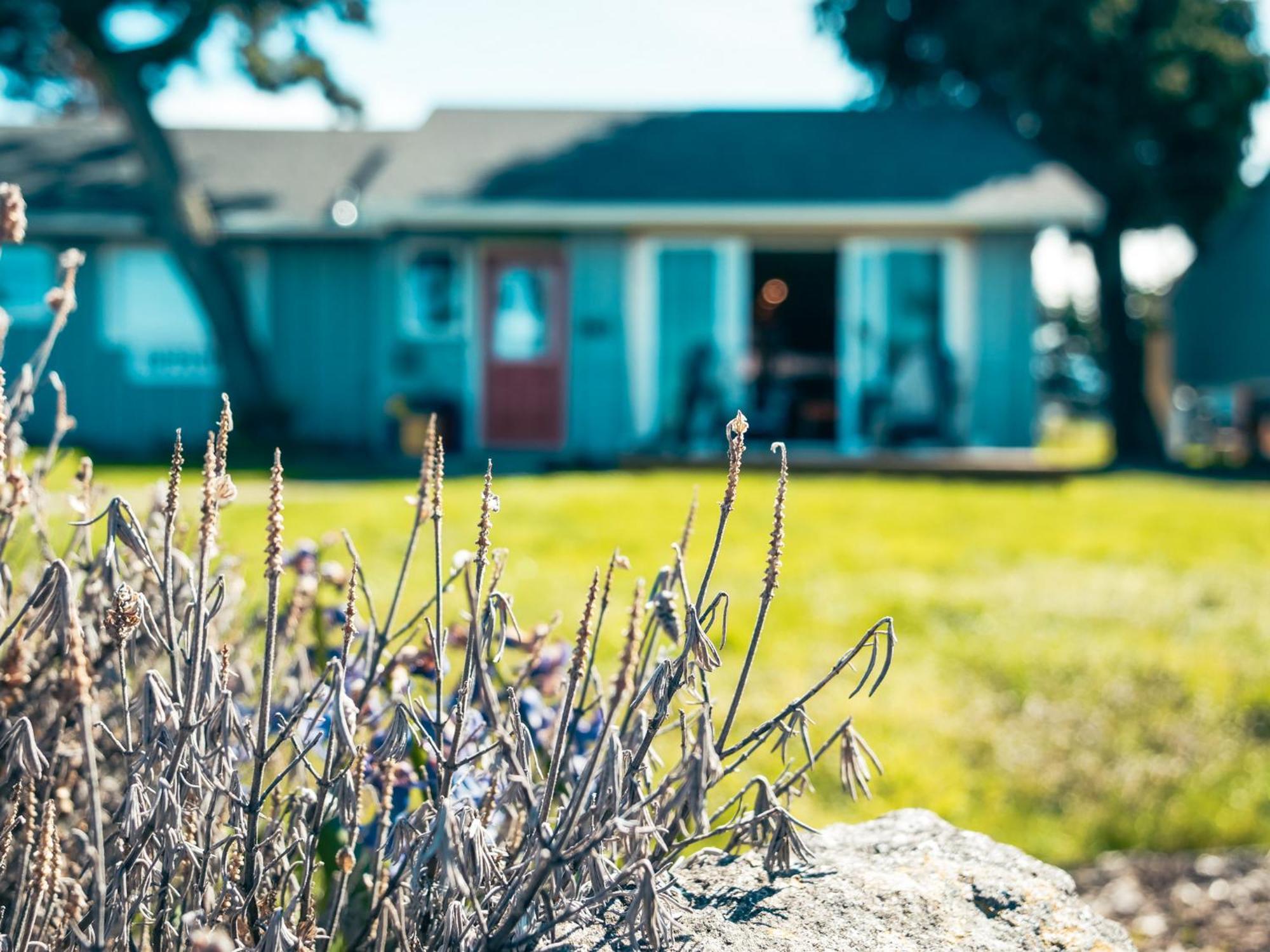 Dungeness Bay Cottages Sequim Exteriér fotografie
